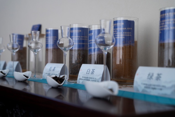 DSC08159.jpg DSC08159.jpg